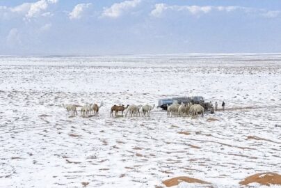 Fenomena Langka: Salju Menyelimuti Arab Saudi untuk Pertama Kalinya dalam Tiga Dekade