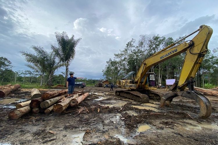 Penyelidikan Pembalakan Liar Tapanuli Terus Berjalan, Bareskrim Belum Tetapkan Tersangka
