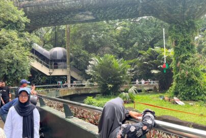 Persiapan Taman Margasatwa Ragunan Menyambut Lonjakan Pengunjung Tahun Baru 2026